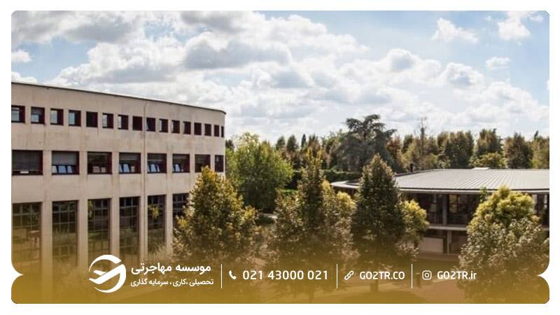 دانشگاه ورونا ایتالیا