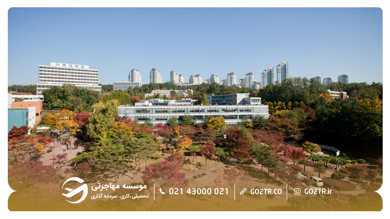 دانشگاه آجو کره جنوبی