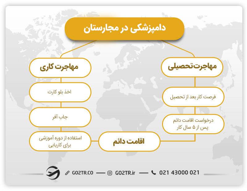 تصویری از راه‌های مهاجرت به مجارستان از طریق دامپزشکی