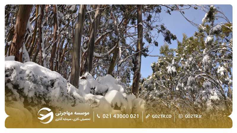 زمستان شهر ملبورن استرالیا