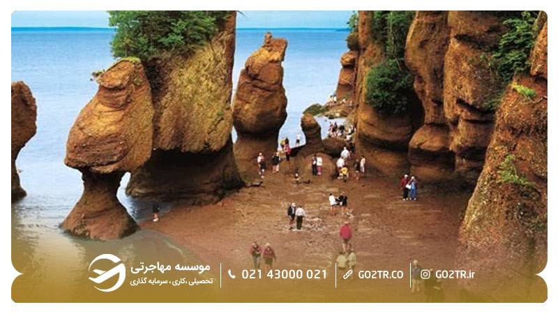 خلیج فاندی