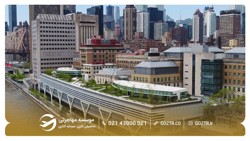 تصویری از پردیس دانشگاه راکفلر آمریکا