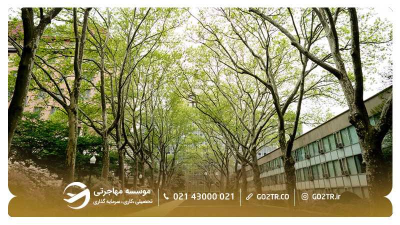 تصویری دیگر از پردیس دانشگاه راکفلر آمریکا