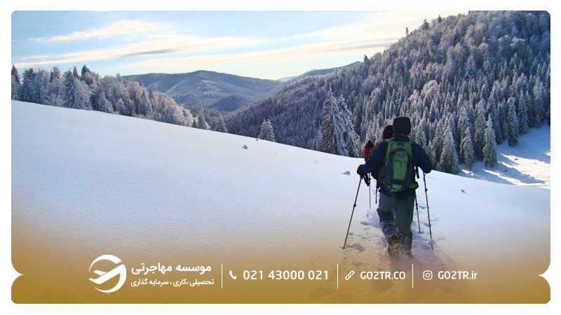 کوه‌ههای کارپات در زمستان