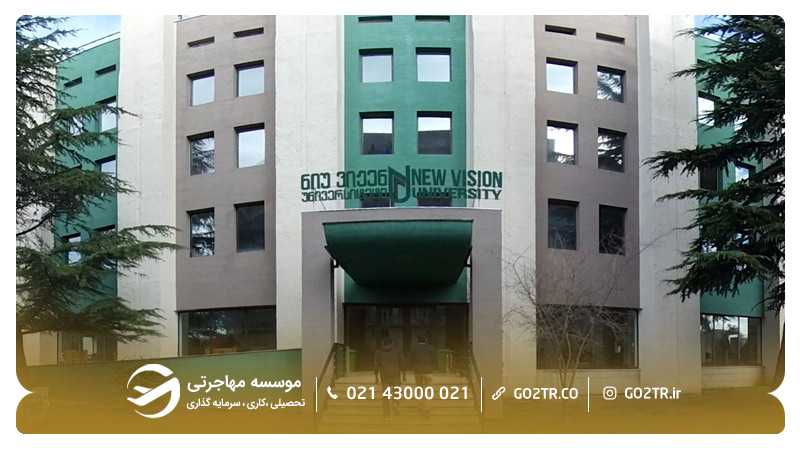 دانشگاه نیوویژن گرجستان