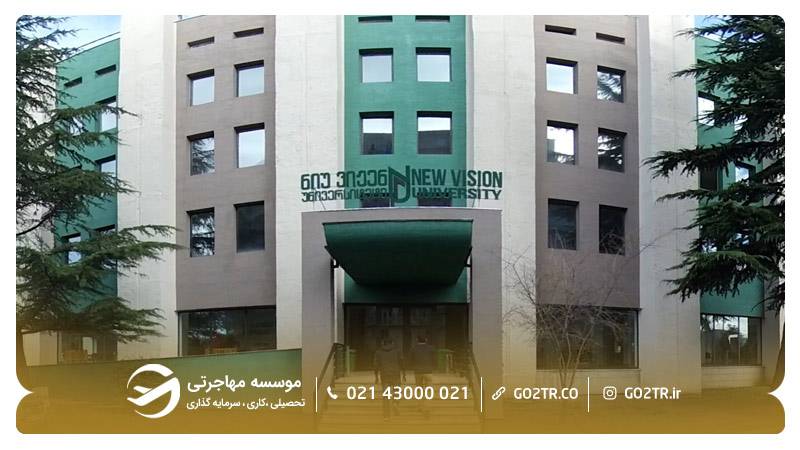 دانشگاه نیوویژن گرجستان