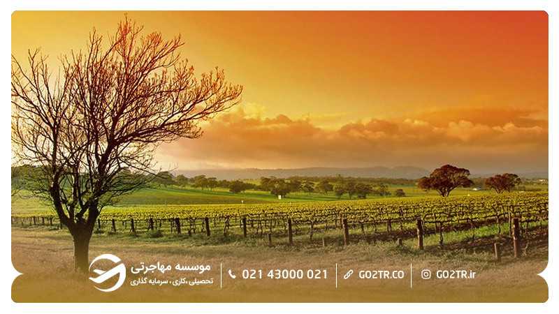 دره باروسا - ایالت استرالیای جنوبی (South Australia)
