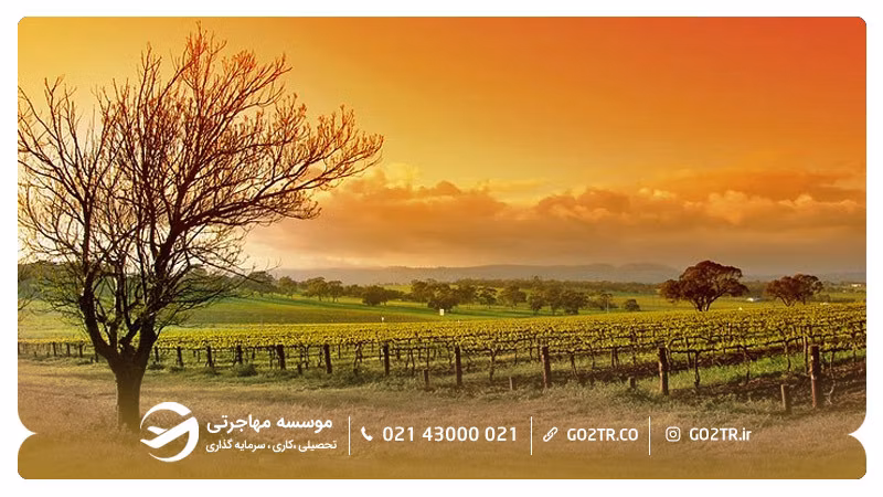 دره باروسا - ایالت استرالیای جنوبی (South Australia)