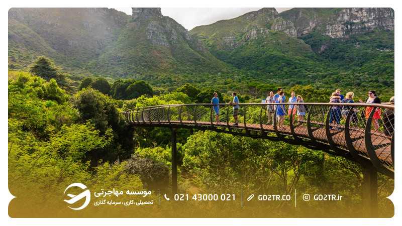باغ گیاهشناسی Kirstenbosch در آفریقای جنوبی