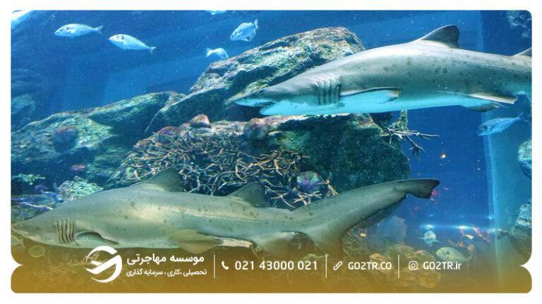 جاذبه‌های گردشگری شهر دبی امارات