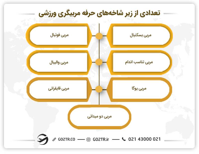 تعدادی از زیر شاخه‌های حرفه مربیگری ورزشی