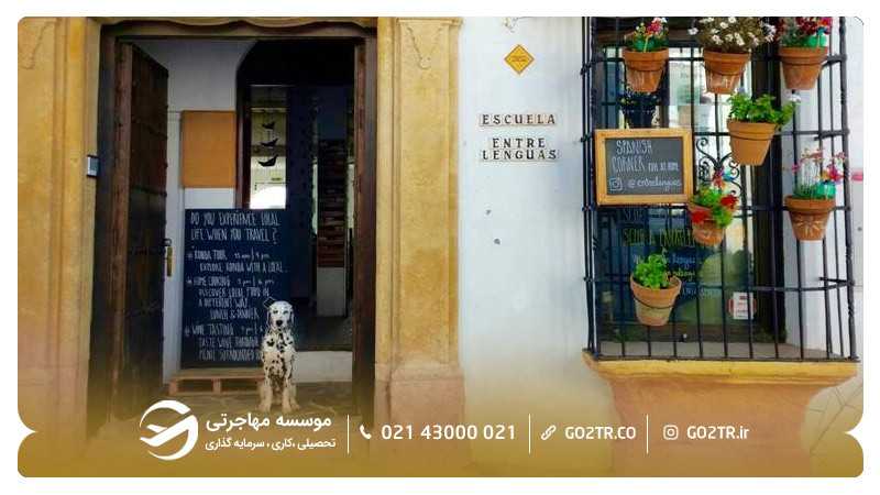 کالج Entrelenguas