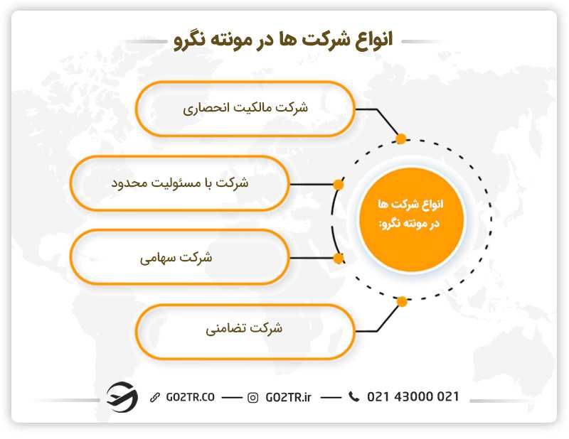 انواع شرکتها در مونته نگرو