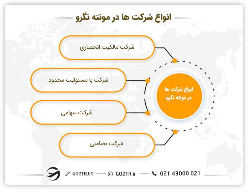انواع شرکت‌ها در مونته نگرو