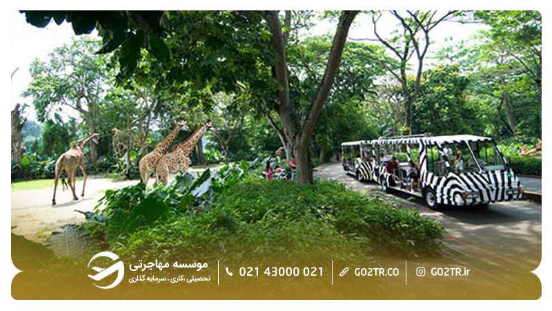 باغ وحش سنگاپور