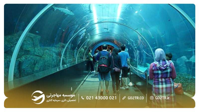 آکواریوم دریا