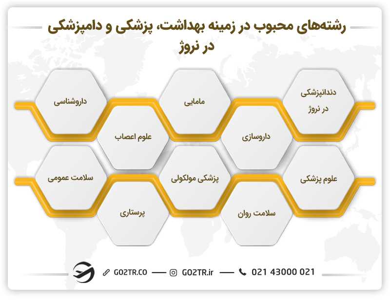 رشتههای محبوب در زمینه بهداشت، پزشکی و دامپزشکی در نروژ