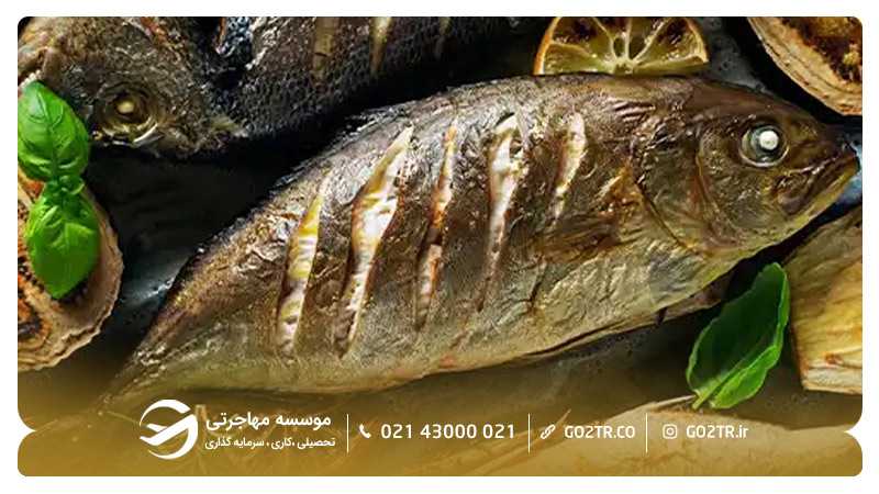ماشوایی