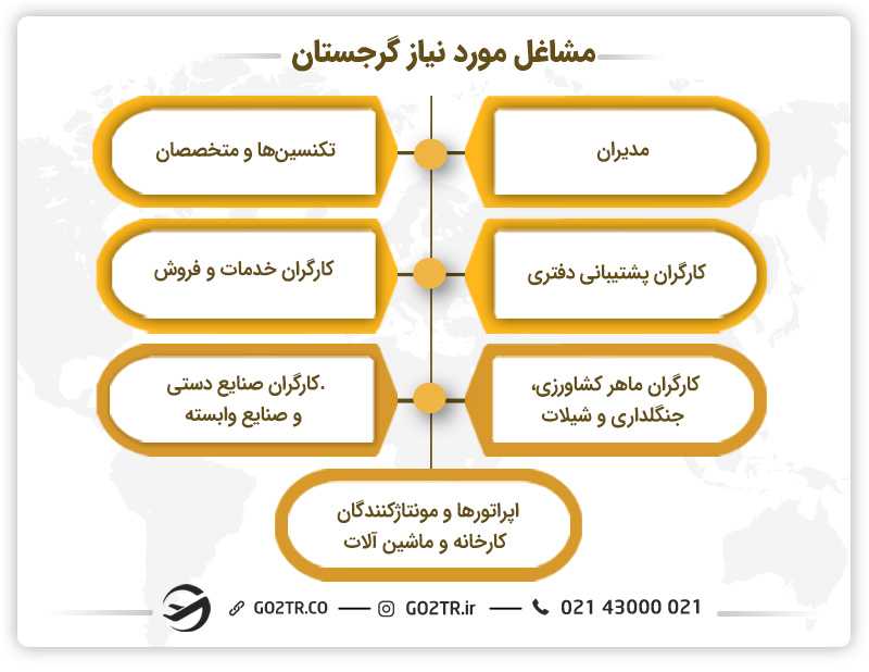 مشاغل مورد نیاز گرجستان در سال ۲۰۲۴