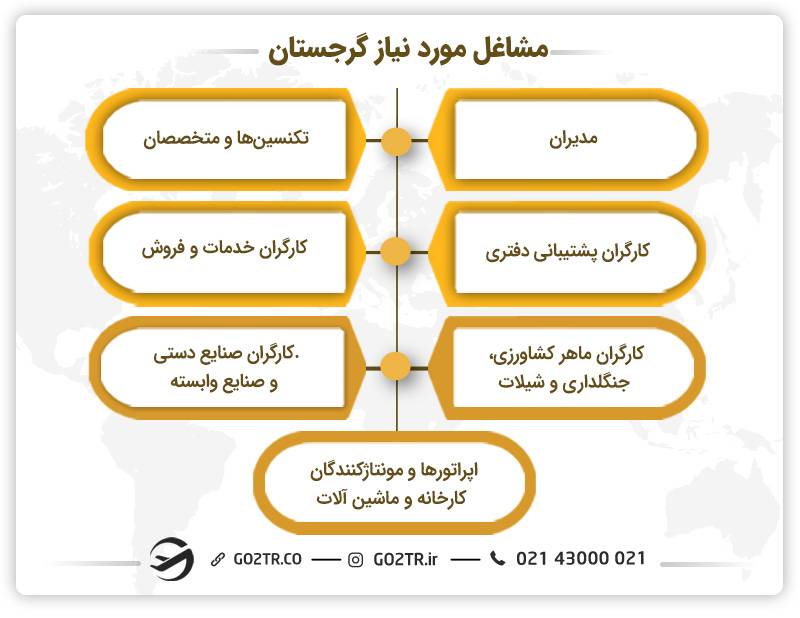 مشاغل مورد نیاز گرجستان در سال ۲۰۲۴