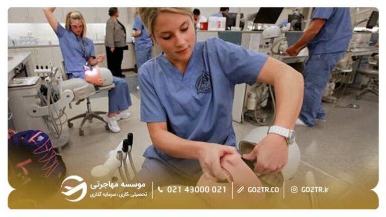 رشته های ارائه شده در دانشگاه پیروگوف روسیه