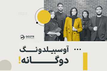 آوسبیلدونگ دوگانه