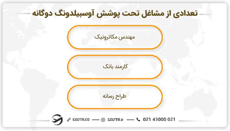 تعدادی از مشاغل تحت پوشش آوسبیلدونگ دوگانه