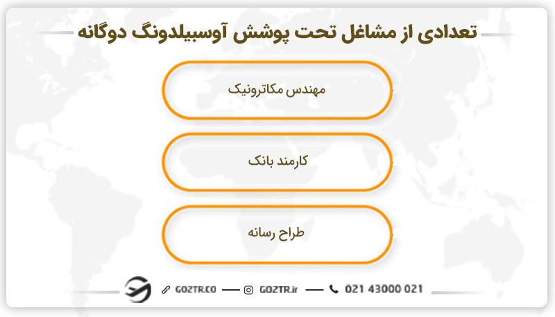 تعدادی از مشاغل تحت پوشش آوسبیلدونگ دوگانه