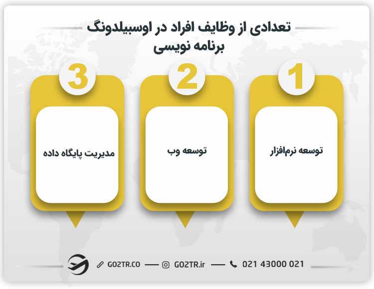 تعدادی از وظایف افراد در اوسبیلدونگ برنامه نویسی
