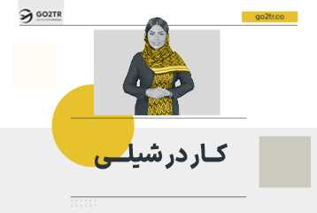 کار در شیلی