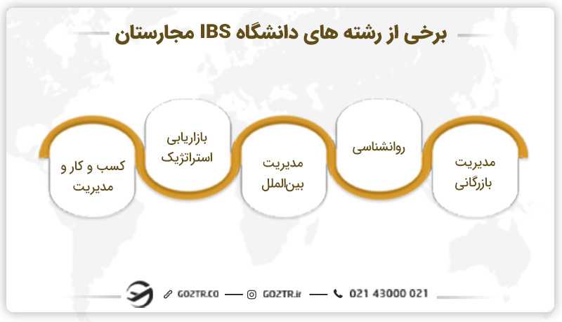 برخی از رشتههای دانشگاه IBS مجارستان