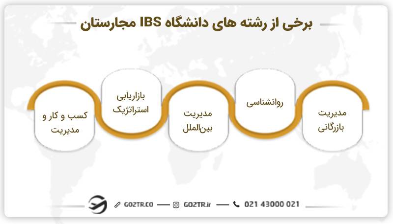 برخی از رشته‌های دانشگاه IBS مجارستان