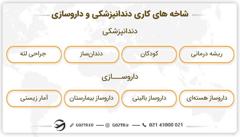 بازار کار دندانپزشکی یا داروسازی؟