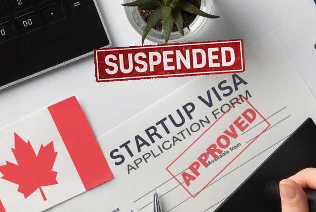 توقف ویزای استارتاپ کانادا و تعلیق برنامه پرستاران خانگی