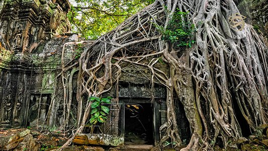 جاذبه‌ های گردشگری و اماکن معروف کامبوج