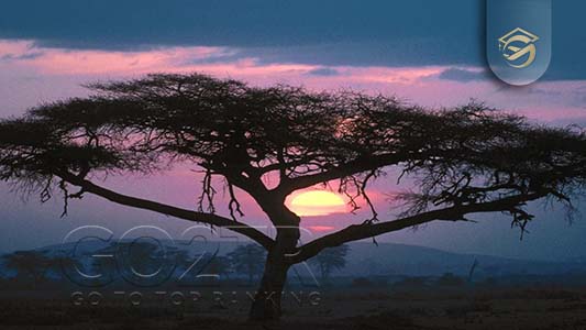 جغرافیا و شرایط آب و هوایی سومالی