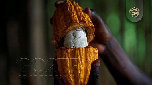 غذاهای ساحل عاج