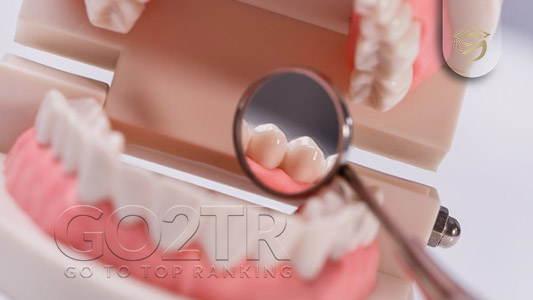 دندانپزشکی در سورینام و شرایط اخذ پذیرش دندانپزشکی در سورینام