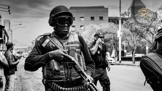 امنیت در نیجر