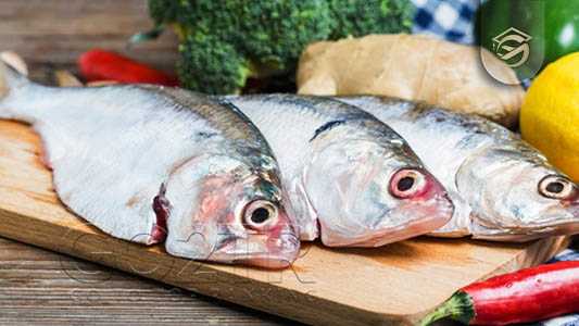 غذاهای بلیز