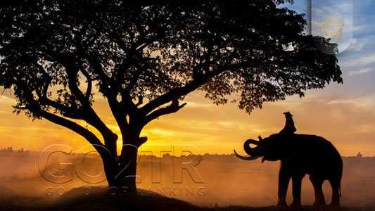 جاذبه های طبیعی در چاد