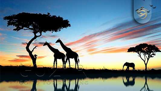 آب و هوای آفریقای مرکزی