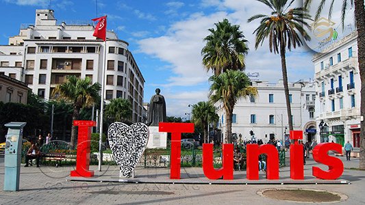 تورهای تفریحی یک روزه تونس