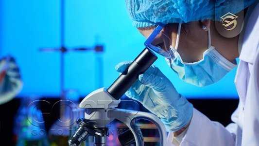 تحصیل در سایر رشتههای موجود در دانشگاه لوند سوئد